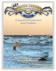 2013 Derby Souvenir Booklet Cover